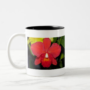 Tasse 2 Couleurs Orchidée rouge exotique