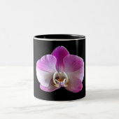 Tasse 2 Couleurs Orchidée violette et blanche (Centre)
