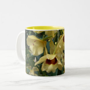 Tasse 2 Couleurs Orchidées Jaunes et Maroon Élégant Floral