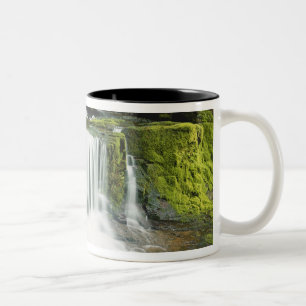 Tasse 2 Couleurs Oregon, Cascade dans le parc national Willamette