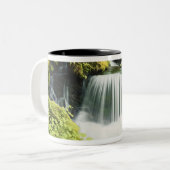 Tasse 2 Couleurs Oregon, Cascade de Willamette (Devant gauche)