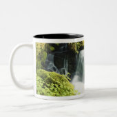 Tasse 2 Couleurs Oregon, Cascade de Willamette (Gauche)