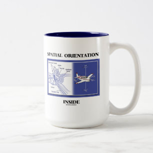 Tasse 2 Couleurs Orientation spatiale à l'intérieur (plan d'anato