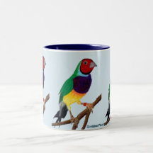 ~ original d'art de ~ de pinson de Gouldian de ~
