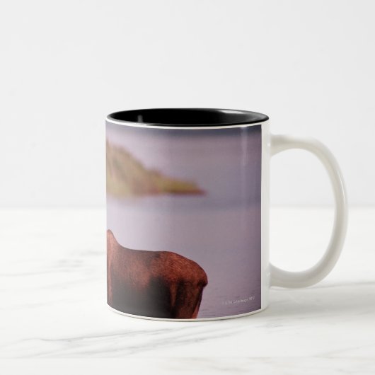 Tasse 2 Couleurs Orignaux dans le lac (Droit)