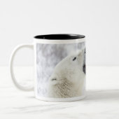 Tasse 2 Couleurs Ours blancs jouant dans la neige (Gauche)
