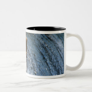 Tasse 2 Couleurs Ours Brun d'Alaska attrapant un saumon à Brooks