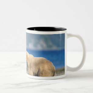 Tasse 2 Couleurs Ours brun, ours grizzly, jouer sur la plage,