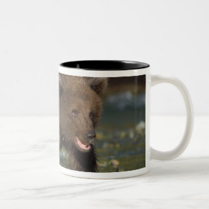Tasse 2 Couleurs ours brun, Ursus arctos, grizzly, Ursus 6