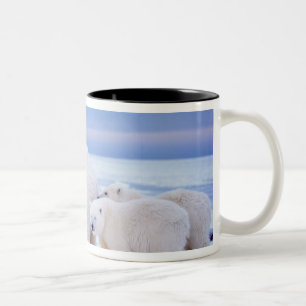 Tasse 2 Couleurs Ours polaire femelle avec des oursons