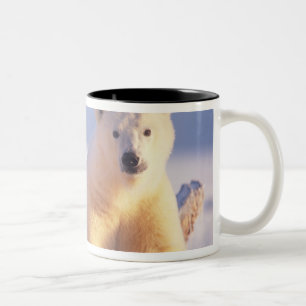 Tasse 2 Couleurs Ours polaire femelle avec ourson sur la banquise