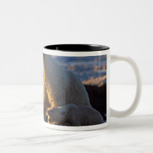 Tasse 2 Couleurs Ours polaires femelles avec ourson sur le côté, 10