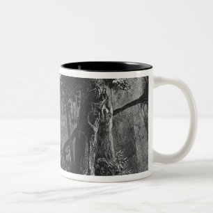 Tasse 2 Couleurs Ouverture de forêt de 'Bresil, Columbie à
