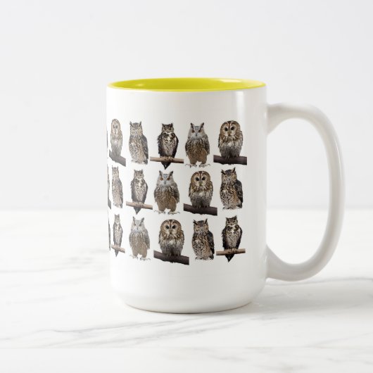 Tasse 2 Couleurs Owls (Droit)