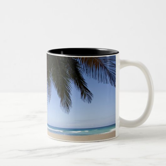 Tasse 2 Couleurs Palmier le long de mer des Caraïbes (Droit)