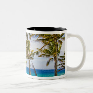 Tasse 2 Couleurs Palmiers à noix de coco (Cocos nucifera) se balanç