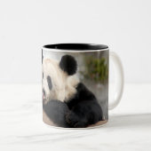 Tasse 2 Couleurs PandaM021 (Devant droit)