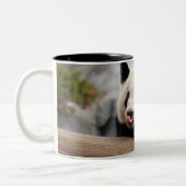 Tasse 2 Couleurs PandaM021 (Gauche)