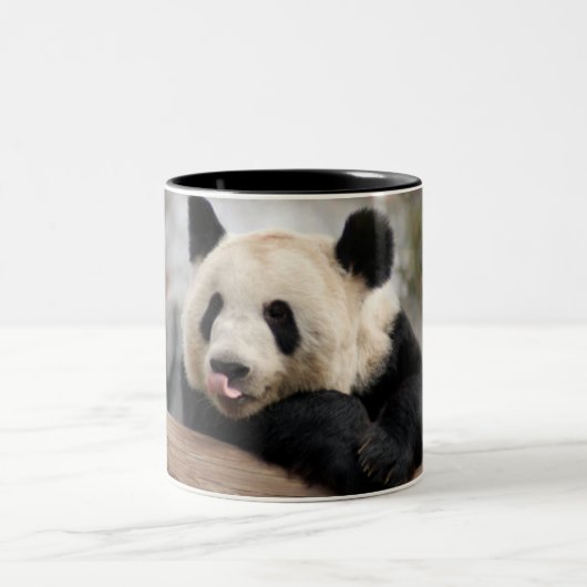 Tasse 2 Couleurs PandaM021 (Centre)