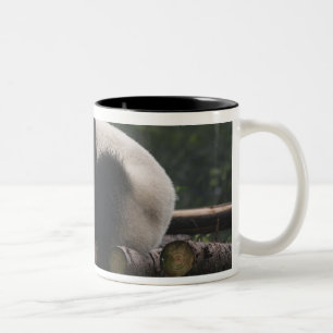 Tasse 2 Couleurs Pandas géants à la protection des pandas géants