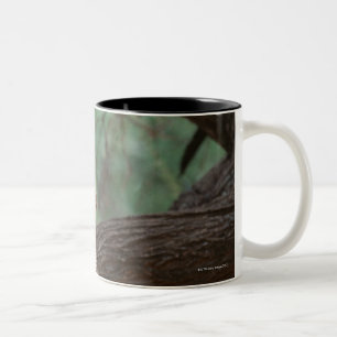 Tasse 2 Couleurs Panthère