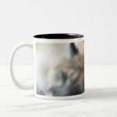 Tasse 2 Couleurs Panthère de Floride (Gauche)