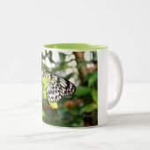 Tasse 2 Couleurs Papier papillon (Devant droit)