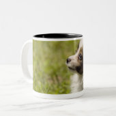 Tasse 2 Couleurs Papillon 2 (Devant gauche)