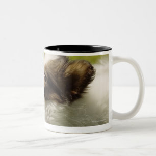 Tasse 2 Couleurs Papillon 2