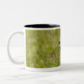 Tasse 2 Couleurs Papillon 2 (Gauche)