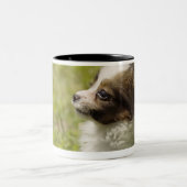 Tasse 2 Couleurs Papillon 2 (Centre)