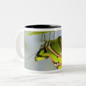 Tasse 2 Couleurs Papillon de malachite sur la feuille (Devant gauche)