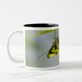 Tasse 2 Couleurs Papillon de malachite sur la feuille (Gauche)