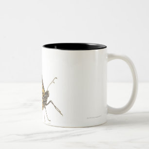 Tasse 2 Couleurs Papillon de monarque