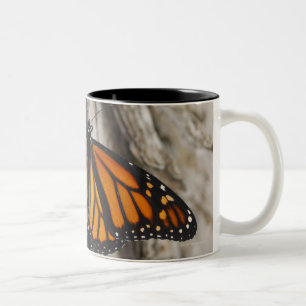 Tasse 2 Couleurs Papillon de monarque