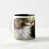 Tasse 2 Couleurs Papillon fonctionnant (Devant gauche)