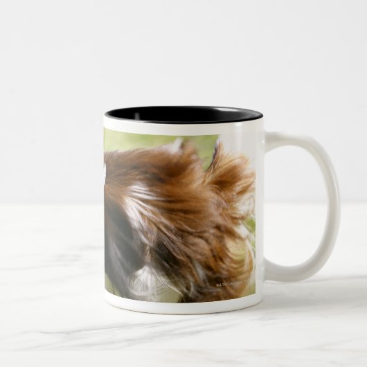 Tasse 2 Couleurs Papillon fonctionnant (Droit)