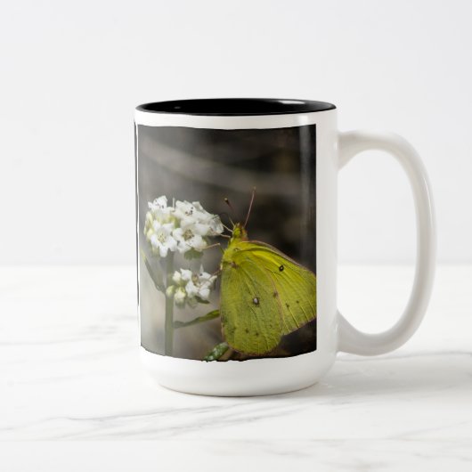 Tasse 2 Couleurs Papillon jaune (Droit)