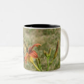 Tasse 2 Couleurs Papillon monarque (Devant droit)