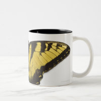 Papillon occidental de machaon de tigre