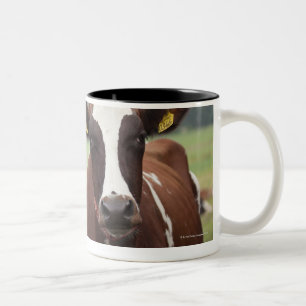 Tasse 2 Couleurs Pâturage des vaches