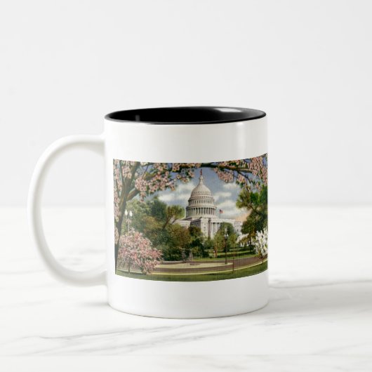 Tasse 2 Couleurs PAU46 USA Capitol.tif (Gauche)