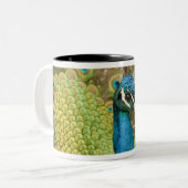 Tasse 2 Couleurs Pavanement de paon (Devant gauche)