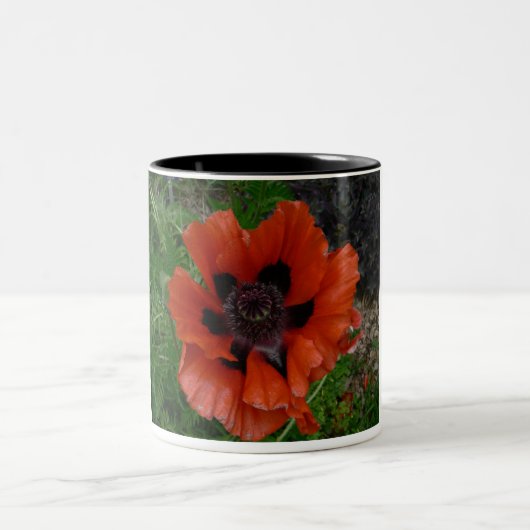 Tasse 2 Couleurs Pavot oriental (Centre)