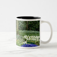 Pays-Bas aka Hollande), Lisse. Keukenhof 11
