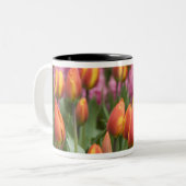 Tasse 2 Couleurs Pays-Bas (alias Holland), Lisse. Keukenhof (Devant gauche)
