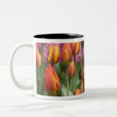 Tasse 2 Couleurs Pays-Bas (alias Holland), Lisse. Keukenhof (Gauche)