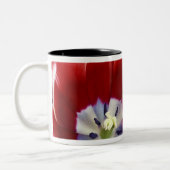 Tasse 2 Couleurs Pays-Bas (alias Holland), Lisse. Keukenhof 3 (Gauche)