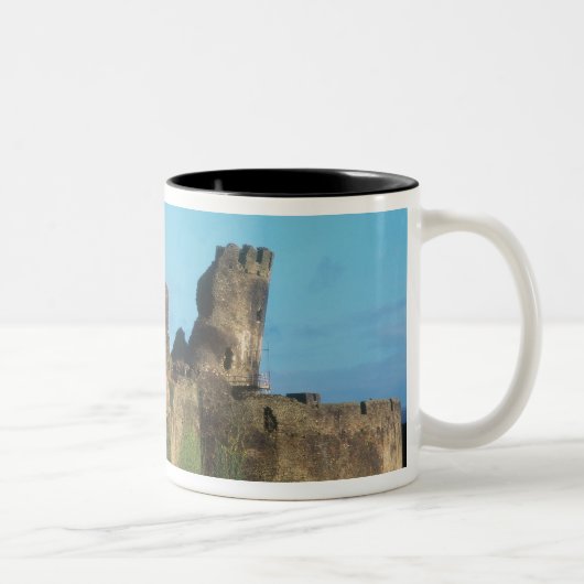 Tasse 2 Couleurs Pays de Galles - Château de Caerphilly, avec vue s (Droit)