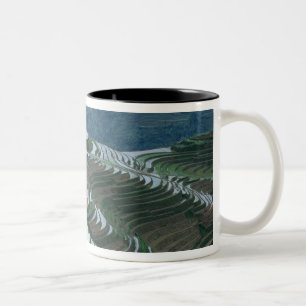 Tasse 2 Couleurs Paysage de rizières en terrasses dans la montagne,